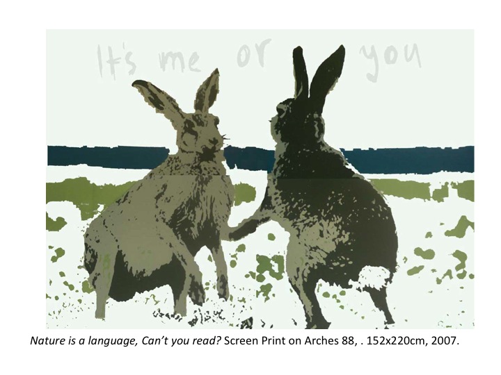 janefontane, jane fontane, young Australian artist, Sydney, newtown paddington, pop art, kudos gallery, college of fine arts, COFA, screen print, rabbits hares fighting, nature is a language, can’t you read?